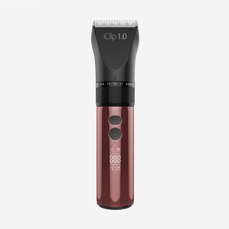 GIUBRA iClip 1.0 - GIUBRA